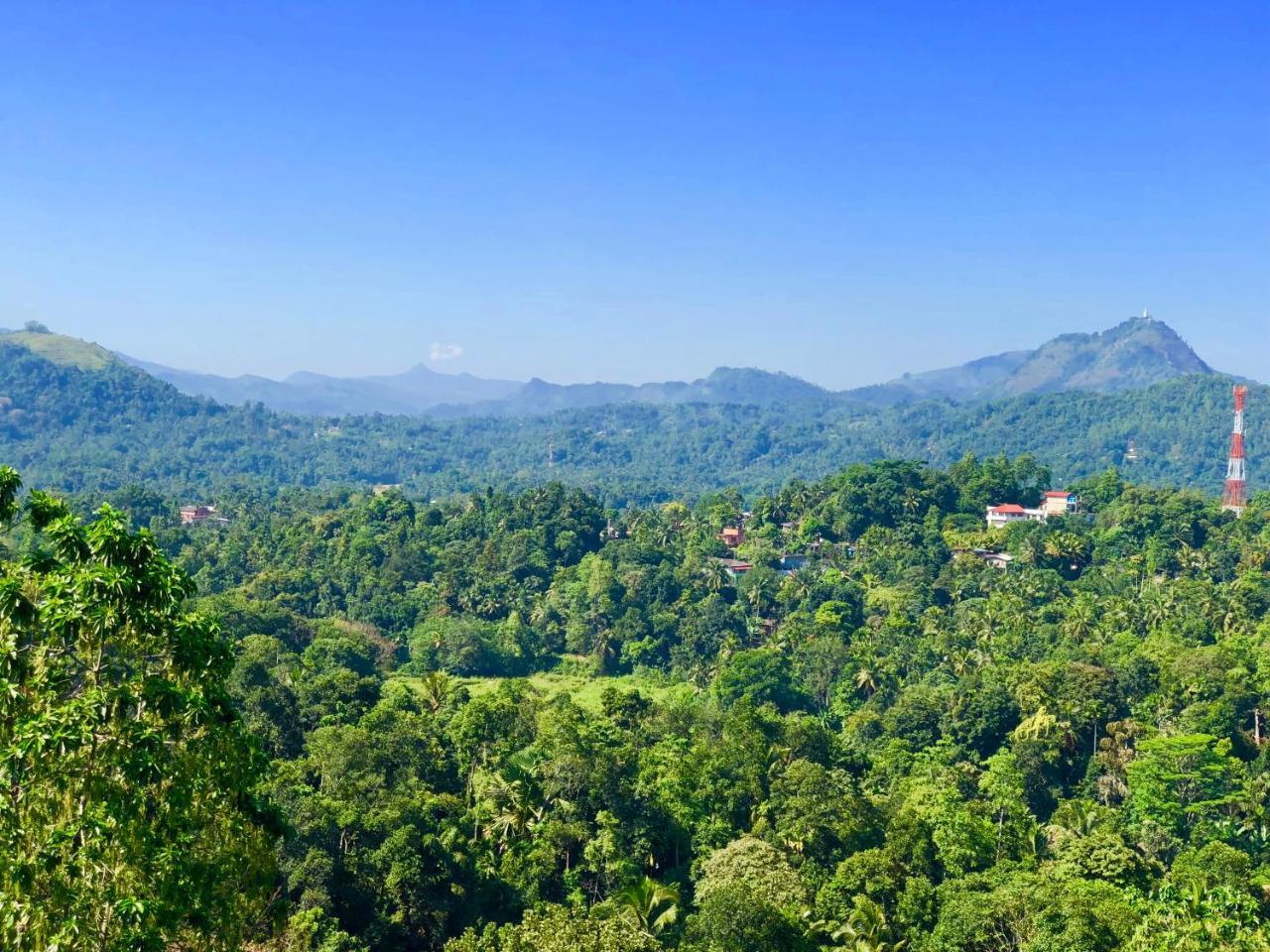 Elegant Hotel Kandy Eksteriør billede